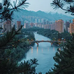 贵州中伟公司介绍